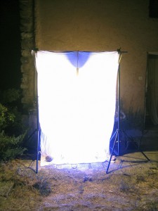 light trapping6575 thomas zika art photography