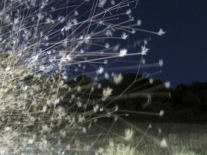 light trapping6644 thomas zika art photography