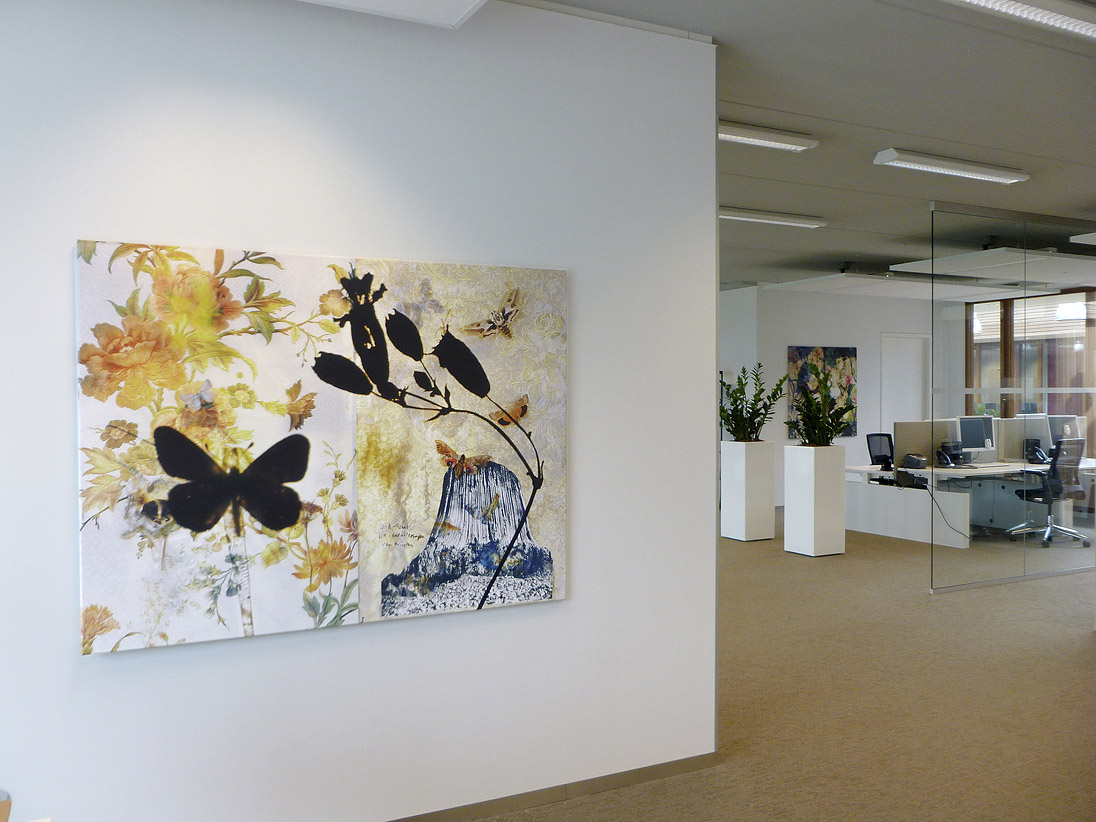 butterflies installation view Gemeentehuis Leiderdorp 2012 d