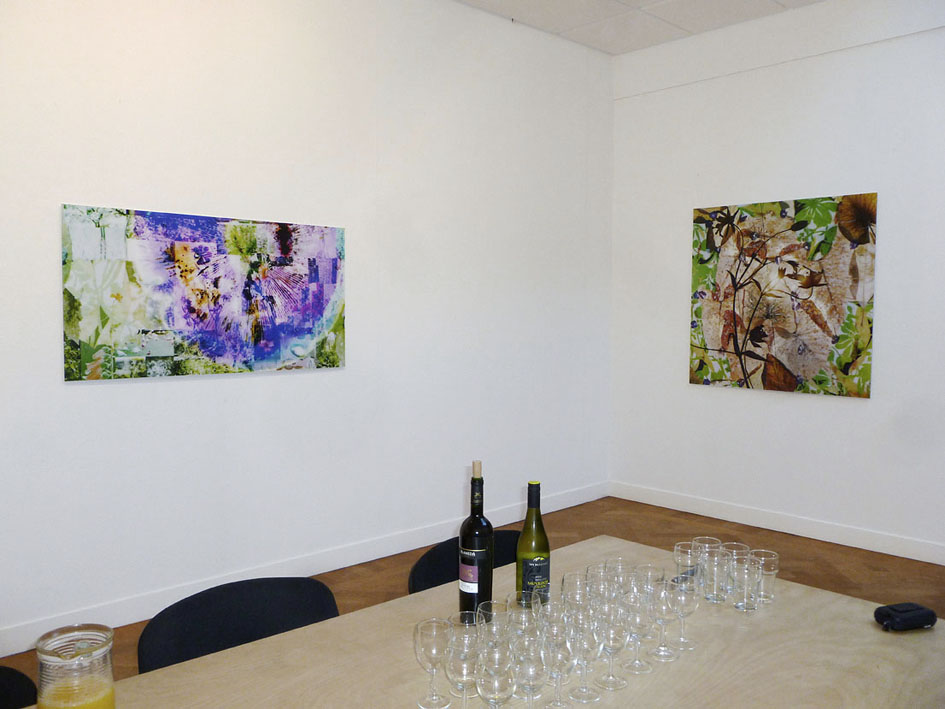 somnambule flowers installation view van Kranendonk Gallery 2015 f