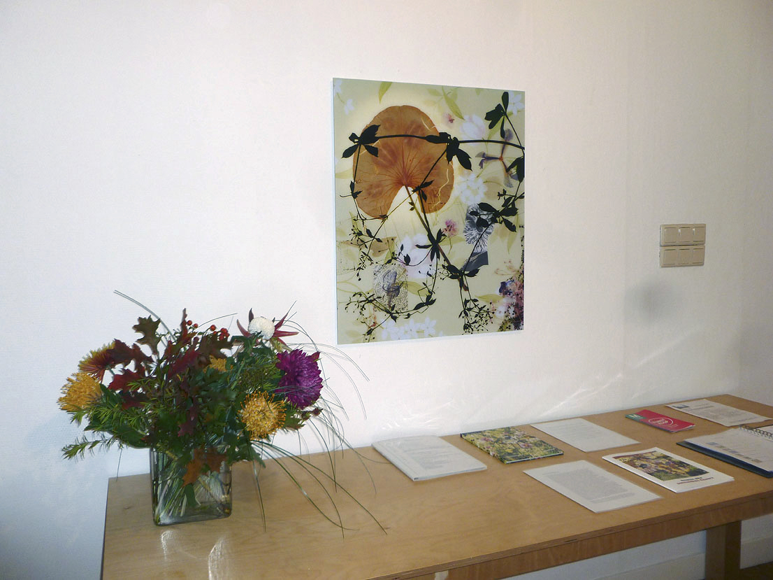 somnambule flowers installation view van Kranendonk Gallery 2015 d