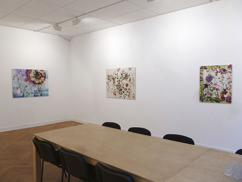 somnambule flowers installation view van Kranendonk Gallery 2015 c