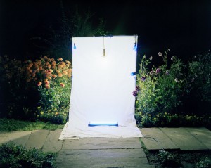 light trapping14 thomas zika art photography
