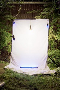 light trapping03 thomas zika art photography