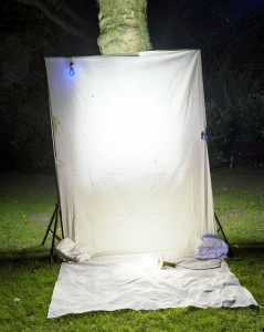 light trapping11 thomas zika art photography