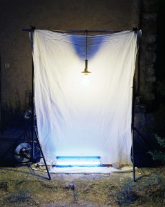 light trapping01 thomas zika art photography