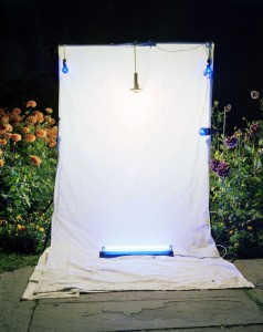 light trapping06 thomas zika art photography