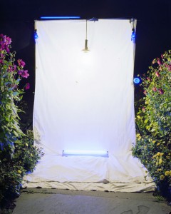 light trapping07 thomas zika art photography