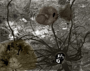 sovereign fruits 05 Thomas Zika art photography