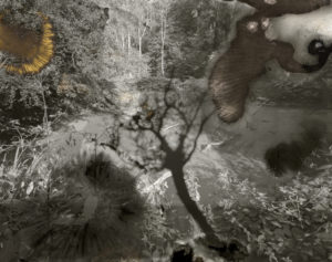 sovereign fruits 16 Thomas Zika art photography